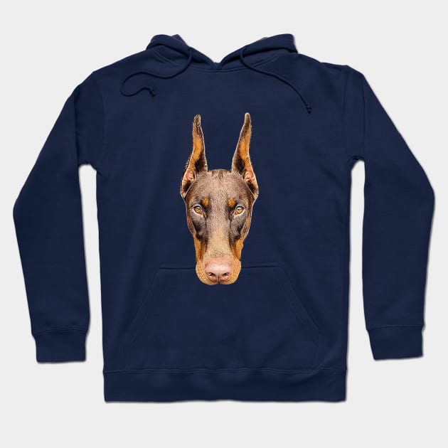 Doberman Head Art Hoodie by ElegantCat